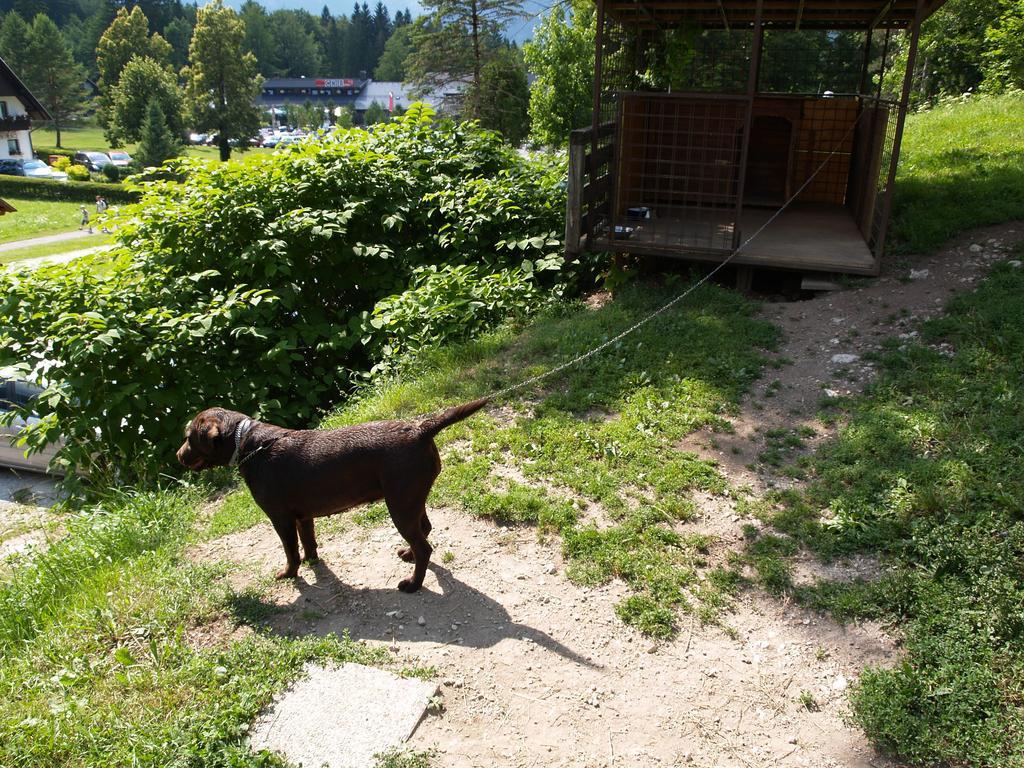 Penzion Rozic Bohinj Buitenkant foto