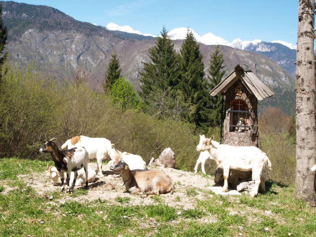 Penzion Rozic Bohinj Buitenkant foto